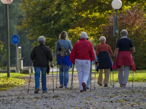 Grupa osób uprawia nordic walking. To świetna forma aktywności, choć ma swoje zalety i wady.
