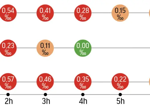 Wykres pokazuje czas trzeźwienia po alkoholu, ilustrując spadające stężenie promili we krwi w zależności od spożytego napoju i upływu czasu.