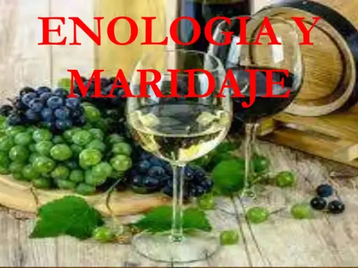Un tratado de enología sobre el maridaje de vinos y uvas. Copas de vino, uvas verdes y moradas, y un barril de madera.