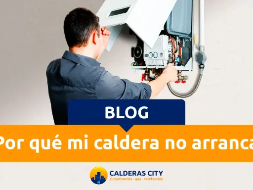 Técnico revisando una caldera Wolf, solucionando problemas comunes. ¿Por qué mi caldera no arranca?