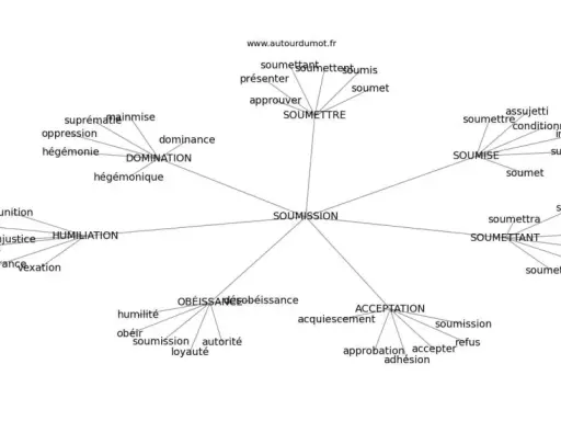 Carte mentale explorant les synonymes de "soumission" : domination, humiliation, obéissance, acceptation, soumise, assujetti.