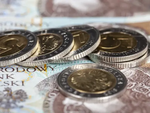 Złote monety i banknoty Narodowego Banku Polskiego. Czy dodatek pielęgnacyjny to wsparcie, czy zasiłek pielęgnacyjny?