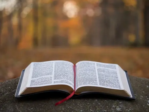 Otwarta Biblia na kamieniu, w tle jesienny las. Wzmianka o św. Marku patronie.