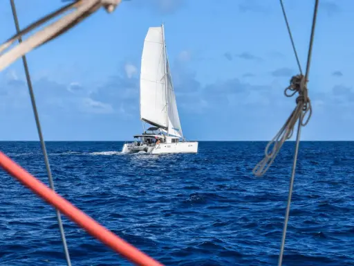 Un catamaran blanc navigue sur l'océan bleu. La durée de la traversée de l'Atlantique en bateau est longue, mais la beauté du voyage est inestimable.