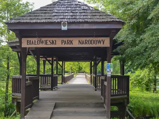 Drewniany mostek prowadzi do Białowieskiego Parku Narodowego, najstarszego parku narodowego w Polsce.