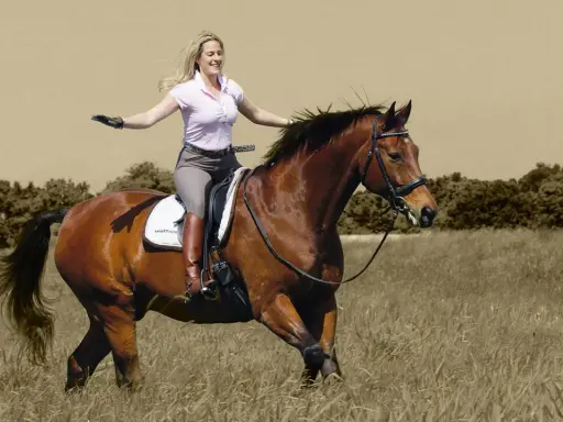 Glückliche Frau lernt reiten, genießt den Ritt auf einem braunen Pferd durch hohes Gras.