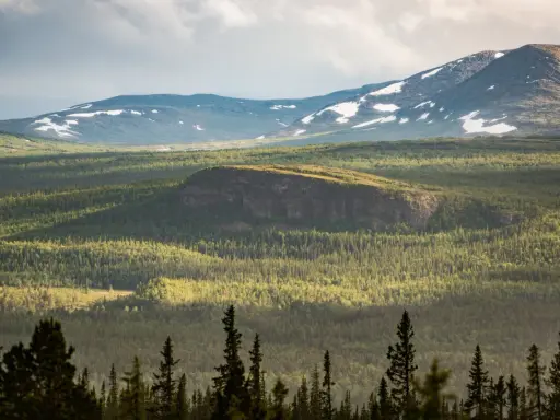 Välkommen till Vålådalens naturreservat! En vidsträckt vy över fjäll, skog och snöfläckar under en dramatisk himmel.