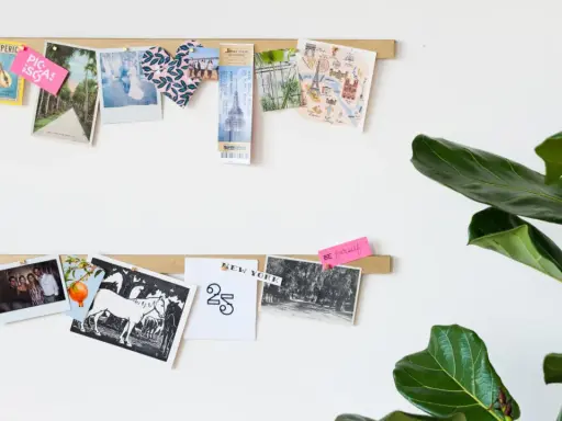Zwei Holzleisten mit Fotos, Postkarten und Notizen an einer weißen Wand, daneben eine Monstera.