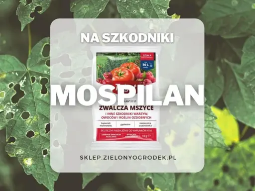 Mospilan, substancja czynna zwalczająca mszyce i inne szkodniki. Opakowanie środka ochrony roślin na tle liści.