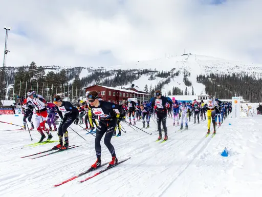 Skidåkare i full fart, redo för dundret runt. En tävling i snöklädda bergsmiljöer med en stor grupp deltagare.