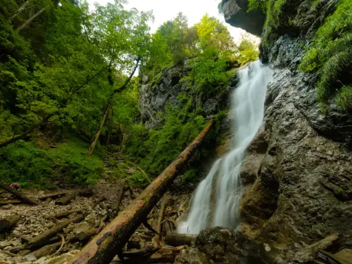 Wodospad na ferracie HZS Kyseľ, otoczony bujną zielenią i powalonymi drzewami.