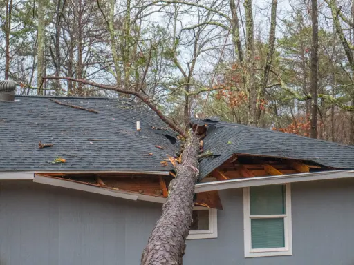 Un arbre est tombé sur un toit, causant d'importants dégâts. Les bardeaux sont arrachés et la structure est visible. Ces dégâts grele témoignent de la violence de l'événement.