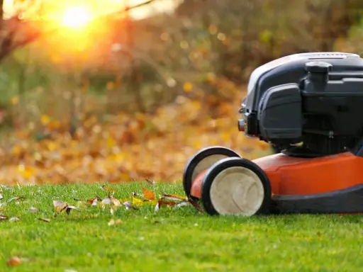 Lawn mower ready for fall lawn maintenance. Fallen leaves litter the green grass as the sun sets.