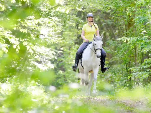 Eine Frau reitet auf einem weißen Pferd durch einen sonnendurchfluteten Wald. Das **Pferd ausreiten** ist ein idyllisches Erlebnis.