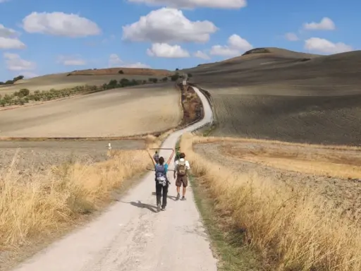 Due pellegrini camminano su una strada sterrata in un paesaggio collinare, forse da dove parte la Via Francigena.