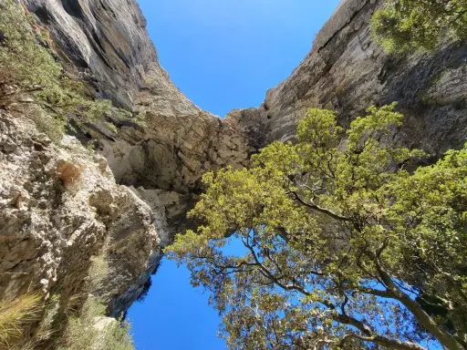 Vue plongeante d'un arc rocheux naturel lors d'une randonnée à Bonnieux, avec des arbres verdoyants et un ciel bleu éclatant.