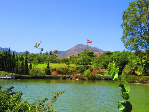 Lago sereno en el parque de la Paloma, con una gaviota volando y la bandera española ondeando. ¡Un lugar hermoso para visitar!