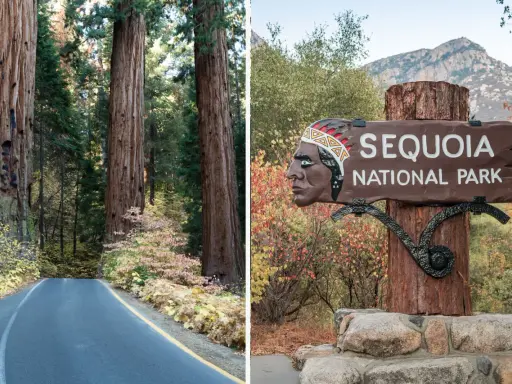 Droga prowadzi przez park narodowy sekwoi, obok gigantycznych drzew. Znak "Sequoia National Park" z wizerunkiem Indianina wita gości.