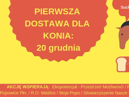 Suchy chleb dla konia: Przysmak czy ukryte niebezpieczeństwo?