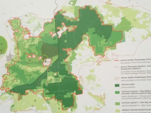 Mapa Puszczy Białowieskiej z zaznaczonymi strefami ochrony. Plan zwiedzania uwzględnia granice UNESCO i Rezerwatu Biosfery.