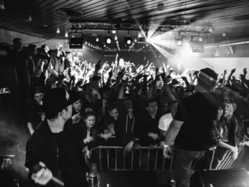 Koncert pro8l3m art brut 2 utwory. Tłum szaleje, artyści na scenie, światła i dym tworzą niepowtarzalny klimat.
