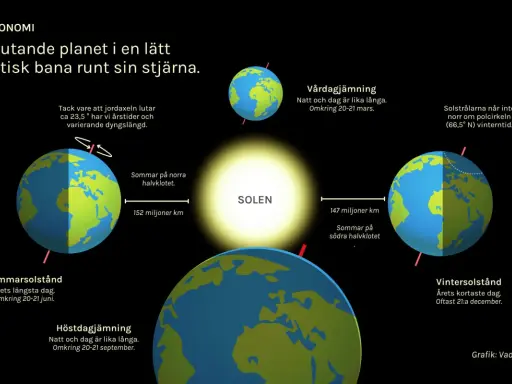 Jorden kretsar runt solen, vilket ger oss årstider och olika längder på dagar och nätter. Bilden visar sommar- och vintersolstånd, samt vårdagjämning och höstdagjämning, som alla är delar av jordens bana och dess lutning, vilket påverkar solljuset. Det...