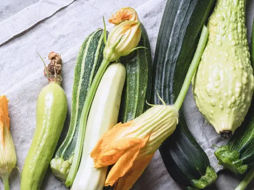 Une variété de courgette, des fleurs de courgette et des courgettes de différentes formes et couleurs, disposées sur un tissu gris.