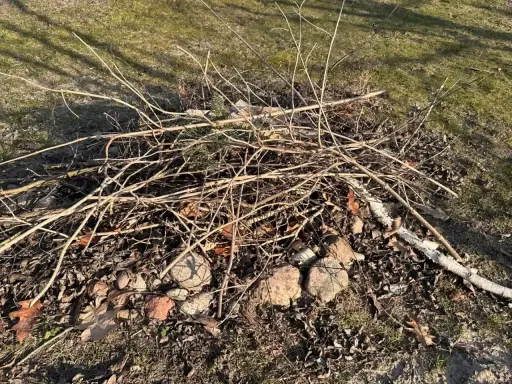 Stos suchych gałęzi i liści na trawie, gotowy do rozpalenia. Czy można palić gałęzie na wsi? To zależy od przepisów.