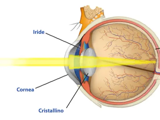 Diagramma occhio umano: luce solare entra da cornea, cristallino, iride, focalizza sulla retina. Quanti megapixel ha l'occhio umano?