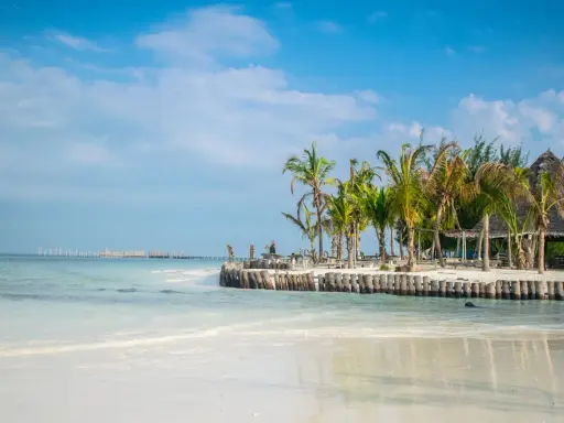 Piękna plaża z palmami i drewnianym molo. Zastanawiasz się, ile się leci na Zanzibar? To raj na ziemi!