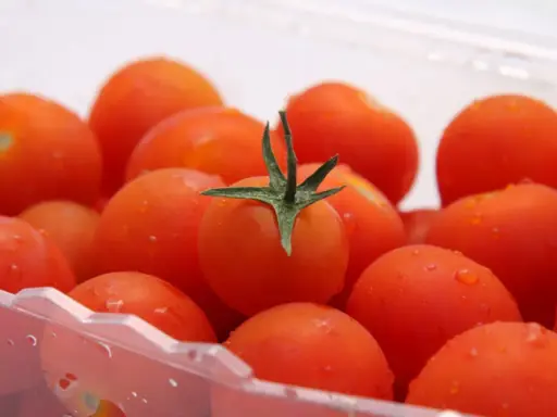 Soczyste pomidorki koktajlowe w plastikowym opakowaniu. Dowiedz się, jak przechowywać pomidory w domu, by zachowały świeżość.