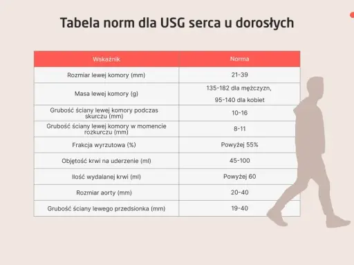 Tabela norm dla USG serca u dorosłych: rozmiar, masa, grubości ścian, frakcja wyrzutowa, objętość krwi na uderzenie i ilość wydalanej krwi.