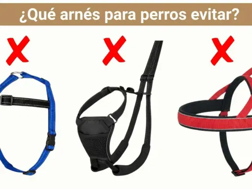 Tres tipos de arneses para perros marcados con X roja. El azul es un arnés de pecho, el negro parece un arnés de paseo, y el rojo es un arnés de entrenamiento.