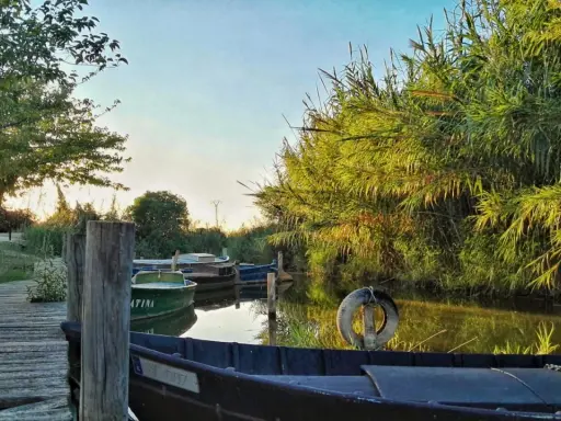 Boote liegen am Steg im Sonnenuntergang an der Albufera Valencia. Schilf säumt das Wasser.