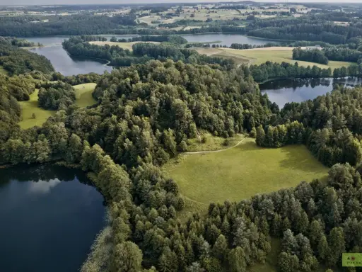 Krajobraz z jeziorami i lasami, typowy dla tego, z czego słynie Podlasie. Zielone pola i spokojne wody tworzą malowniczy widok.