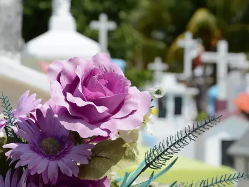 Fioletowe kwiaty na cmentarzu, symbol pamięci. Nawet na odległość można złożyć kondolencje, wysyłając wsparcie bliskim.