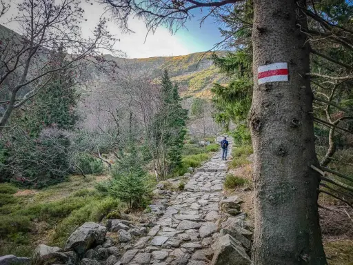 Kamienista ścieżka w górach, oznaczona czerwonym szlakiem na Śnieżkę. Wędrowiec idzie w stronę szczytu.