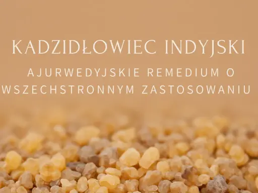 Kadzidłowiec: skutki uboczne? Zanim zażyjesz, poznaj ryzyko!
