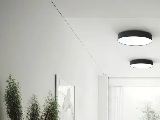 Nowoczesny korytarz z dwoma okrągłymi plafonami led 80 cm, roślinami i minimalistyczną sztuką.