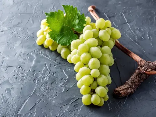 Grüne Trauben, die an einem Ast hängen, sind ein Beispiel für Chardonnay. Diese Rebsorte ist bekannt für ihre vielseitigen Weine.