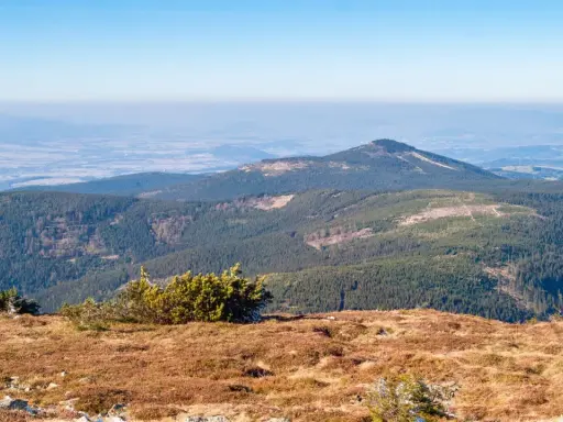 Widok z trasy na Śnieżnik. Góry pokryte lasem, na horyzoncie widać doliny i kolejne pasma górskie.