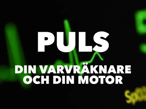 Puls 80. Din varvräknare och din motor. En grön EKG-kurva syns i bakgrunden.