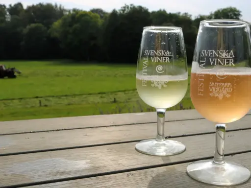 Två glas med bubbel står på ett träbord med utsikt över ett fält och skog. Ett av glasen är märkt "Skepparps Vingård".