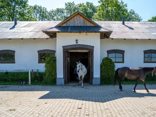 Stadnina Koni Opypy: Wszystko, co musisz wiedzieć przed wizytą