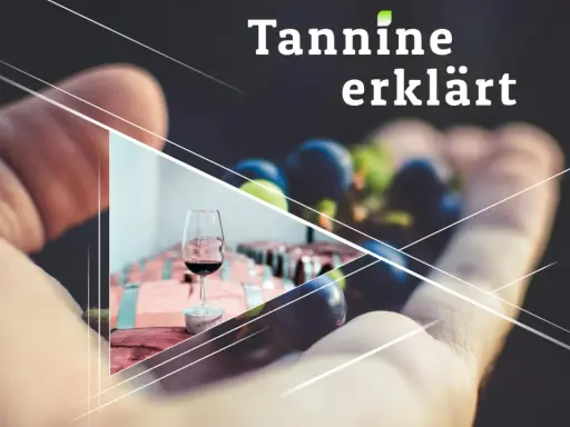 Ein Glas Rotwein und Trauben in einer Hand, daneben Fässer. "Tannine erklärt" – die Essenz des Weins.