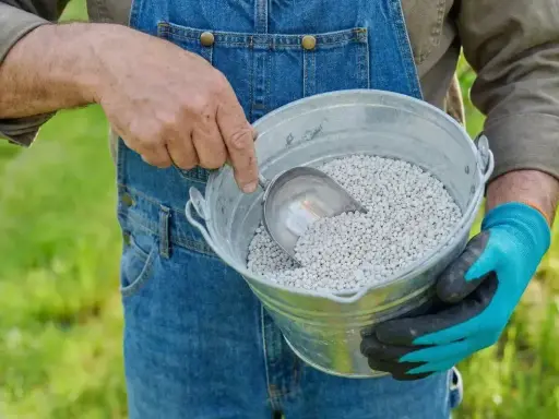 Rolnik w ogrodniczkach nabiera łopatką białe granulki, które są kreda nawozowa, do metalowego wiadra.