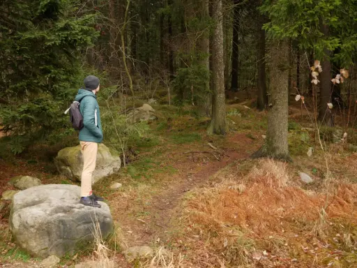 Mężczyzna w zielonej kurtce stoi na skale, podziwiając leśne **szlaki Gór Stołowych**.