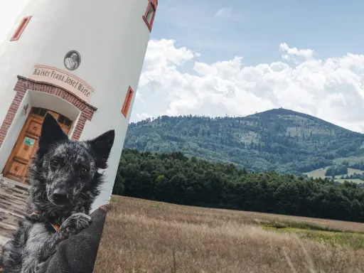 Dwa psy przy wieży Kaiser Franz Josef Warte, w tle malowniczy krajobraz z Biskupią Kopą.
