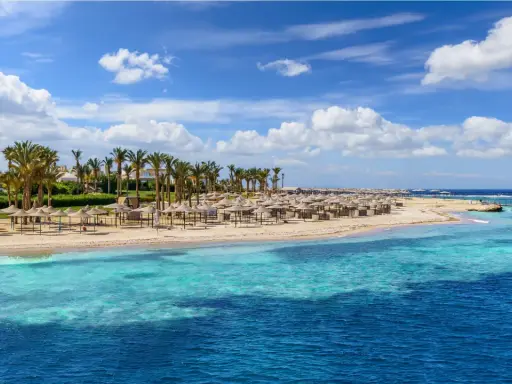 Piękna plaża w Marsa Alam, luty. Słoneczna pogoda, palmy, leżaki i turkusowe morze.
