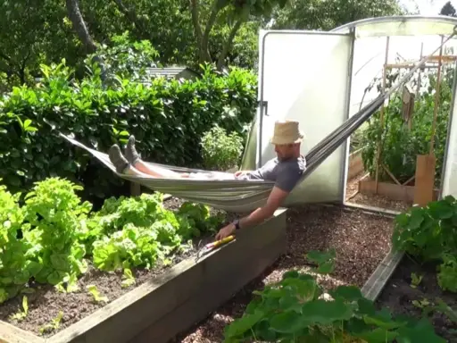 Un homme se repose dans un hamac, entouré de son potager florissant. Il a bien mérité cette pause après avoir passé du temps à faire un potager.